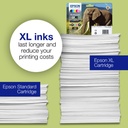 epson-c13t24224012-4.jpg