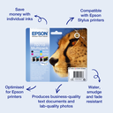 Epson T0711 / C13T07114012 black ink cartridge, 74 ml