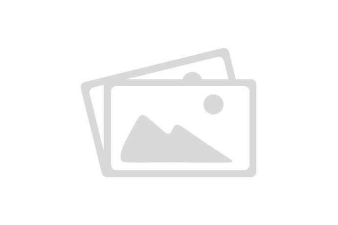 Epson Grossraumkassette C12C939871 für AM-C10000