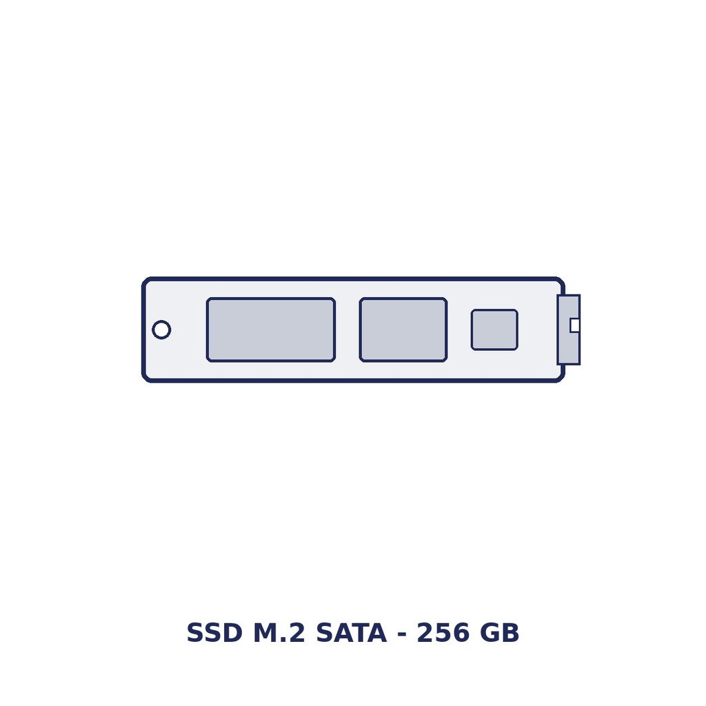 [M2SSD256] SAGA M2SSD256 256 GB M.2 SATA SSD, factory option