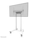 Neomounts FL55-875WH1 Display-Rollwagen, 55 bis 100 Zoll, bis 110 kg, VESA 100x100 bis 800x600, Fixiert